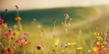 明白的日子里出自哪首歌？