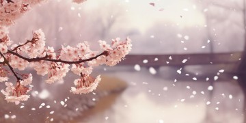 有缘却无分这句歌词出自哪首歌？
