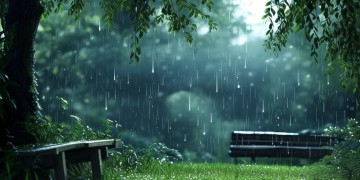 什么样的人会爱上听雨这首歌？
