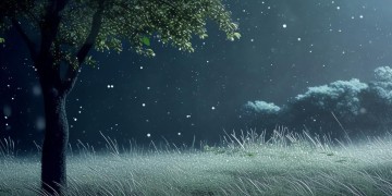 孤独的夜晚你最美究竟是哪首歌？