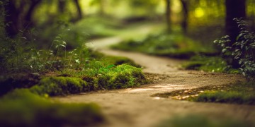 我们绕啊绕啊绕究竟是什么歌？