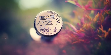 轻轻帮我拍照片究竟是哪首歌？