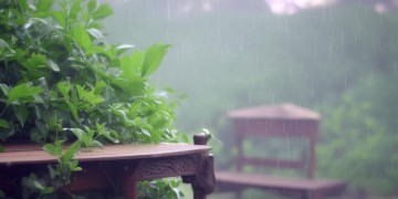 等伞不如等雨停出自哪首歌？