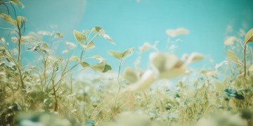 向着天空自由生长出自哪首歌？