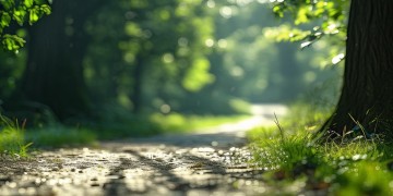 肩负起肩上的责任出自哪首歌？