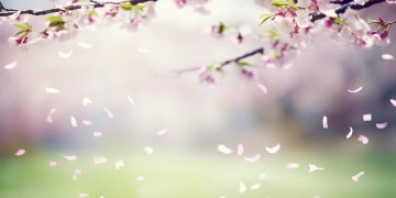 别哭前面一定有哭这句歌词出自哪首歌？
