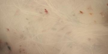 张国荣最后一首歌究竟是哪一首？