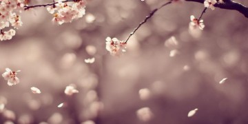 但是把我来守护究竟是哪首歌？