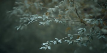 轻轻的不让人知道这句歌词出自哪首歌？
