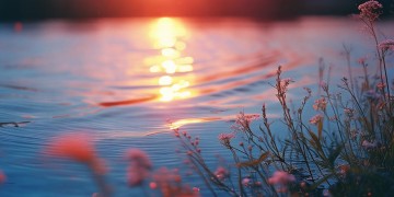 这辈子有2个遗憾出自哪首歌？