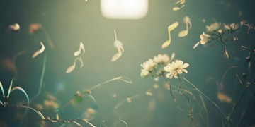 何时才能停靠究竟是哪首歌？