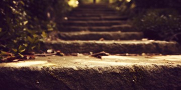 台阶上有人仰望你出自哪首歌？