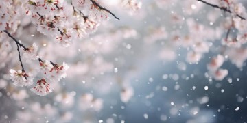 歌词有我爱你的日文歌叫什么？