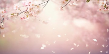 还不如活得潇洒究竟是哪首歌？