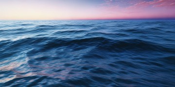 沧海几千年究竟出自哪首歌？