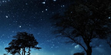 夜很深天很长出自哪首歌？