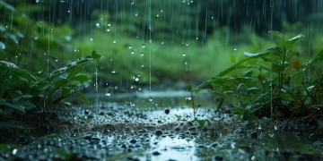 突然下起了雨我不会低头究竟是哪首歌？