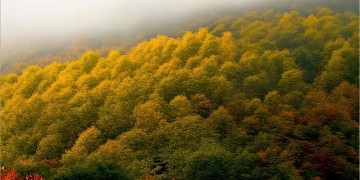 满山坡半山腰究竟是哪首歌？