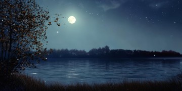 夜渐冷心似水究竟出自哪首歌？