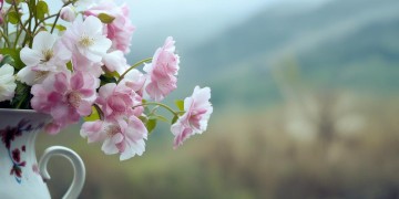 有时候该放就放下这句歌词出自哪首歌？