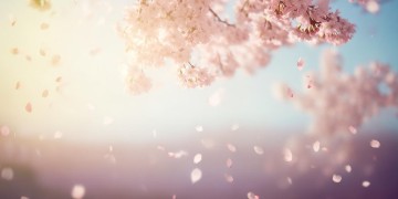 我们或许不完美出自哪首歌？