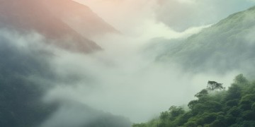 半山烟雨半山悠究竟出自哪首歌？