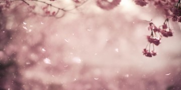 一诺是那个一诺究竟是哪首歌？