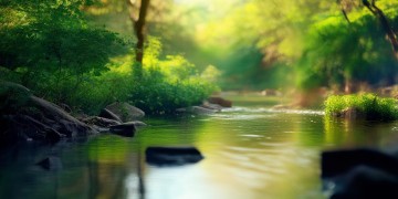 我不想走不想长大究竟是哪首歌？