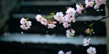 人生短短几度春秋出自哪首歌？