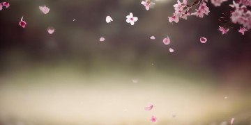 但这次回不去了出自哪首歌？