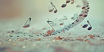 为什么感冒流鼻涕是哪首歌？