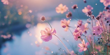 歌词里有心上人的是哪些歌？