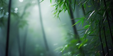 那个人唱的什么什么粤语歌究竟是哪首？