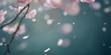 爱到不能爱这句歌词出自哪首歌？