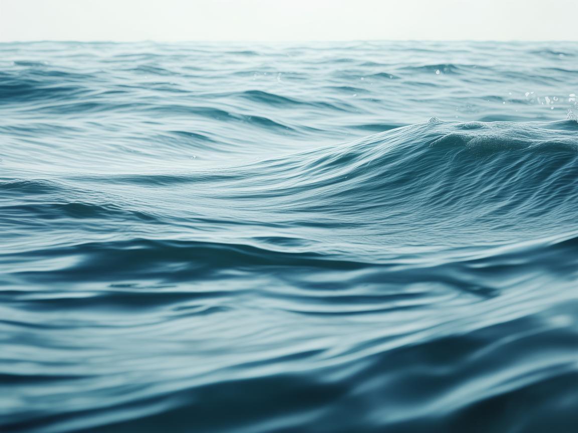 海浪浪浪这句歌词出自哪首歌？