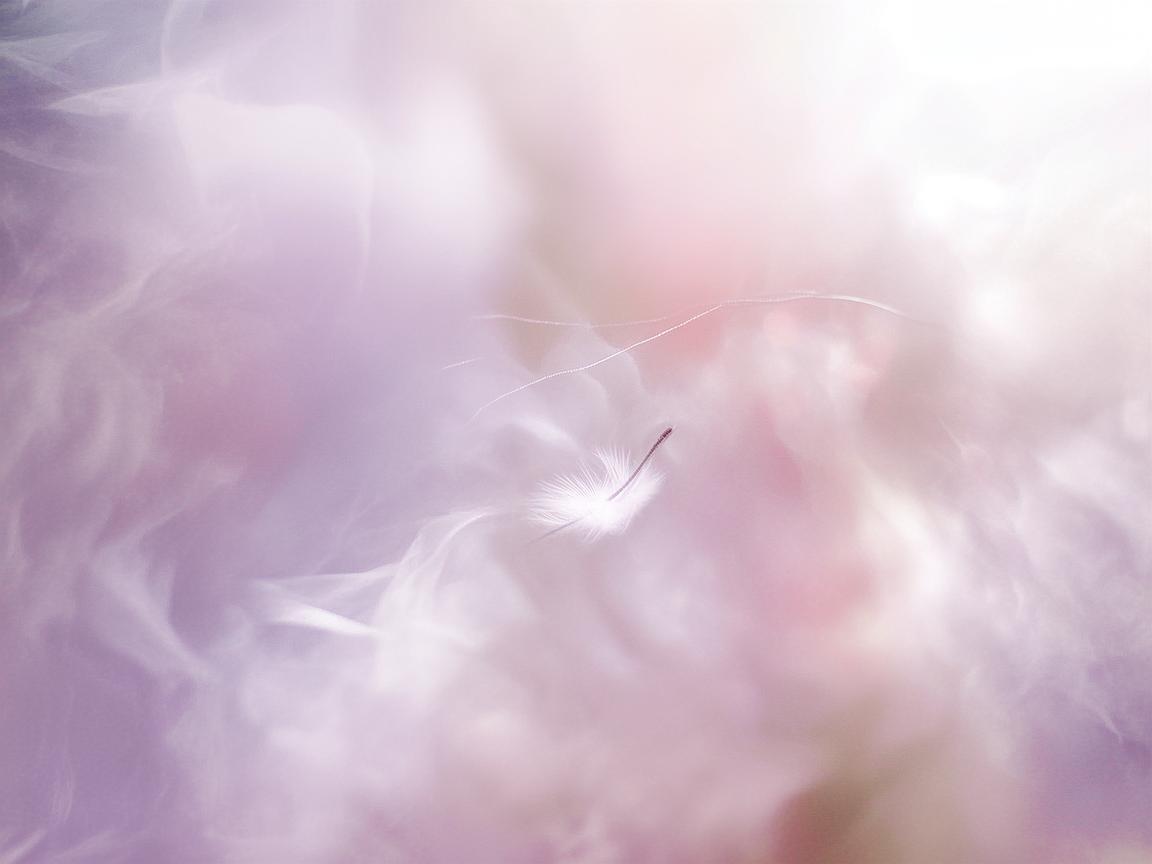 忘记我爱你的密码究竟是哪首歌？
