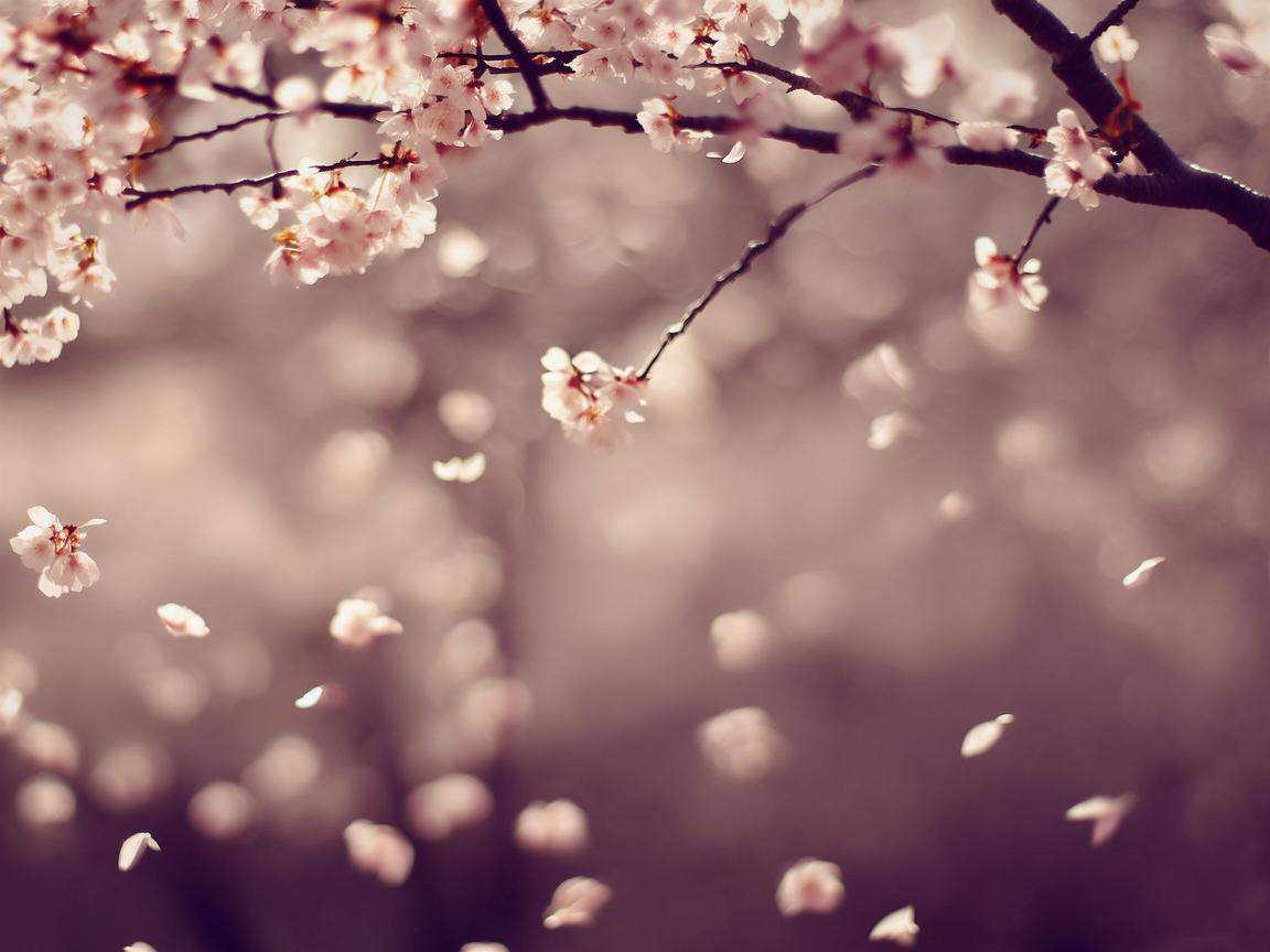 但是把我来守护究竟是哪首歌? 但是把我来守护究竟是哪首歌?