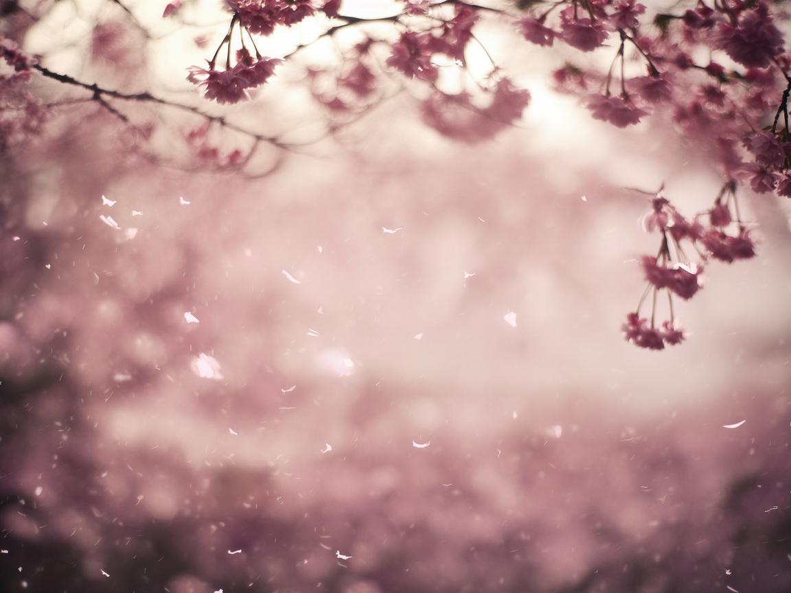 一诺是那个一诺究竟是哪首歌？