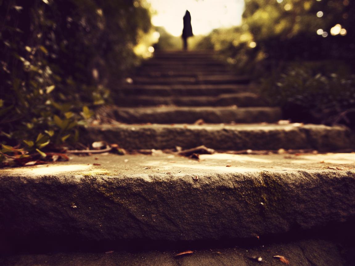 台阶上有人仰望你出自哪首歌？