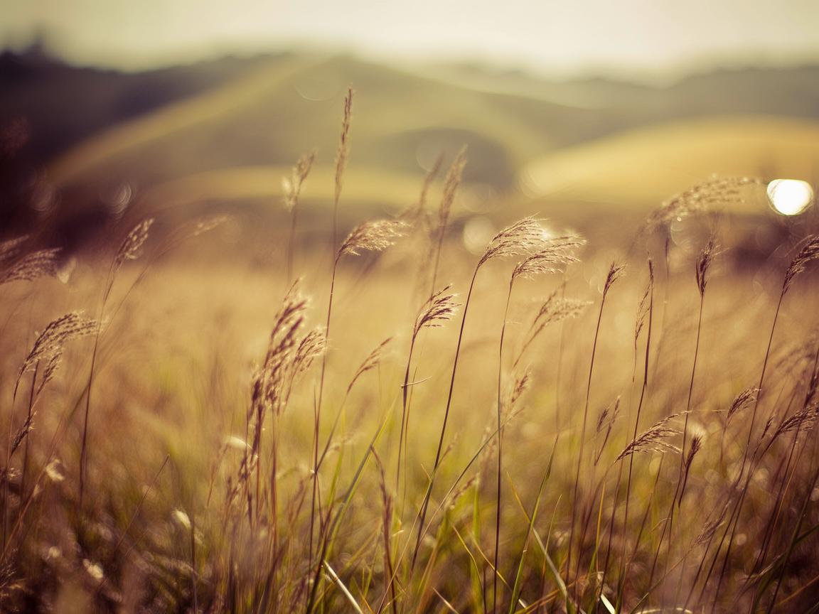 风吹过我的头发这句歌词出自哪首歌? 风吹过我的头发这句歌词出自哪首歌?